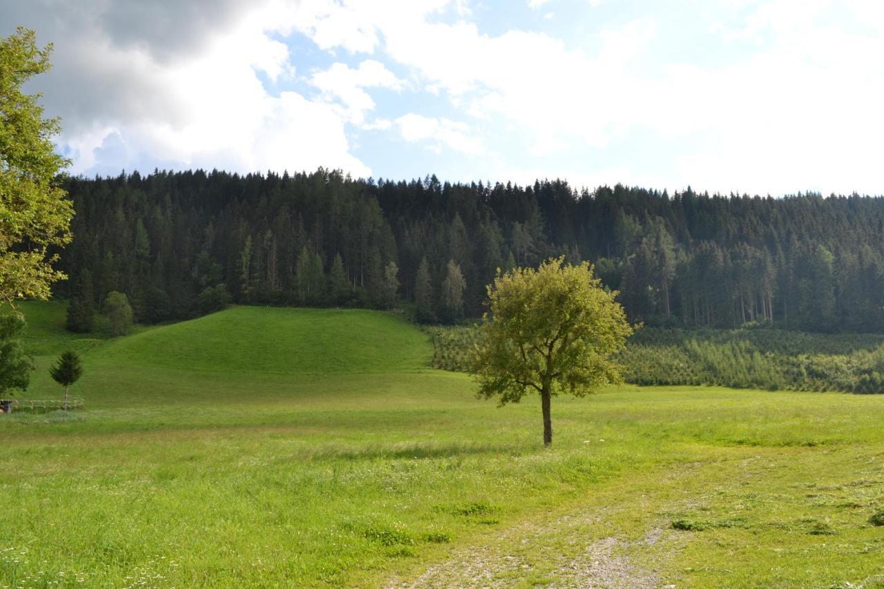 Ferienwohnung Ertlerhof Ranten Zewnętrze zdjęcie